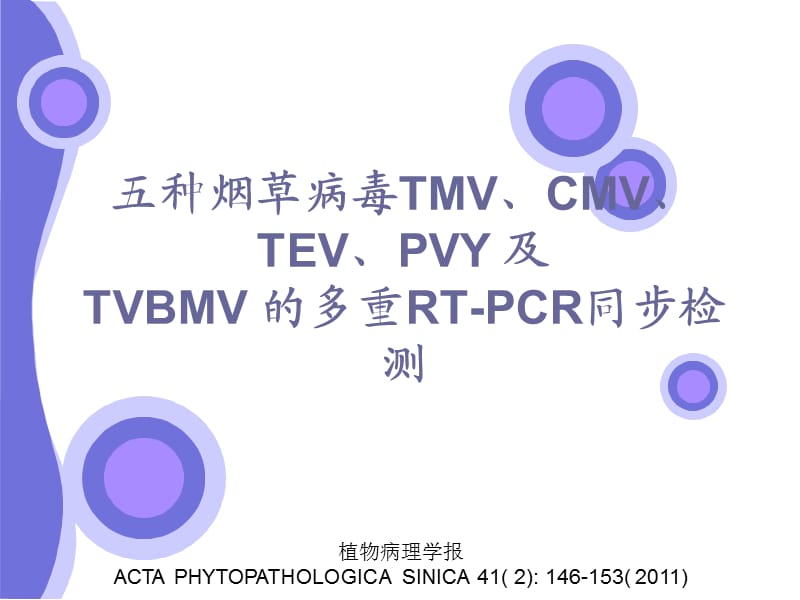 五种烟草病毒TMV.ppt_第1页