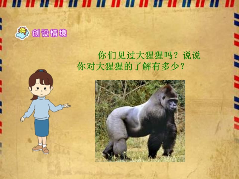 冀教版六年级下册我和大猩猩握了手课件.ppt_第3页