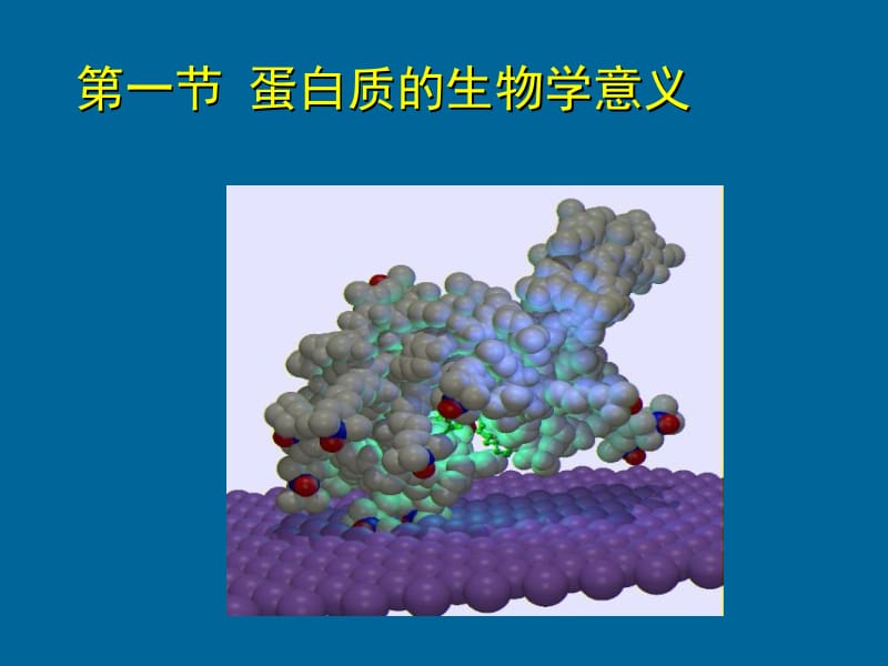 生物化学——第一章蛋白质.ppt_第2页