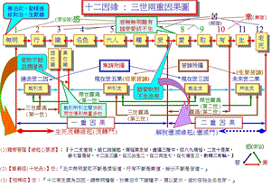 十二因缘三世两重因果图.ppt