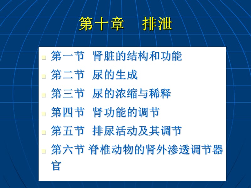 十章排泄.ppt_第1页