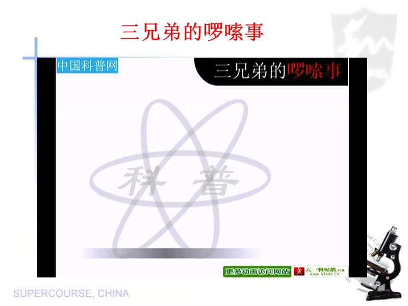 14.2第一课时科学探究：欧姆定律（课件）.ppt_第2页