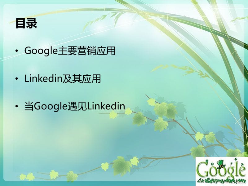 使用Googlelinkedin营销00001.ppt_第2页