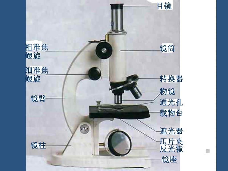 第二单元第一章第一节　练习使用显微镜.ppt_第2页