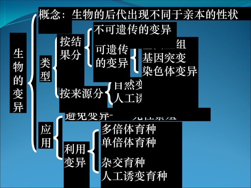 2009高考生物二轮专题复习课件：变异、育种和进化相关.ppt_第2页