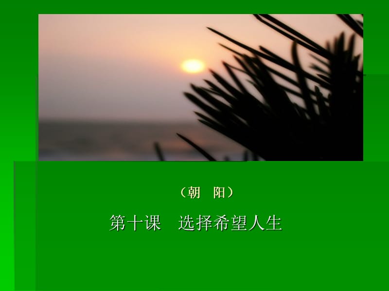 十课选择希望人生正确对待理想与现实.ppt_第2页