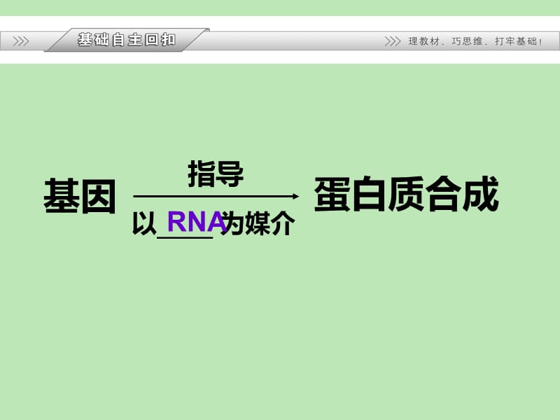4.1《基因指导蛋白质的合成》课件9赵桂玲.ppt_第2页
