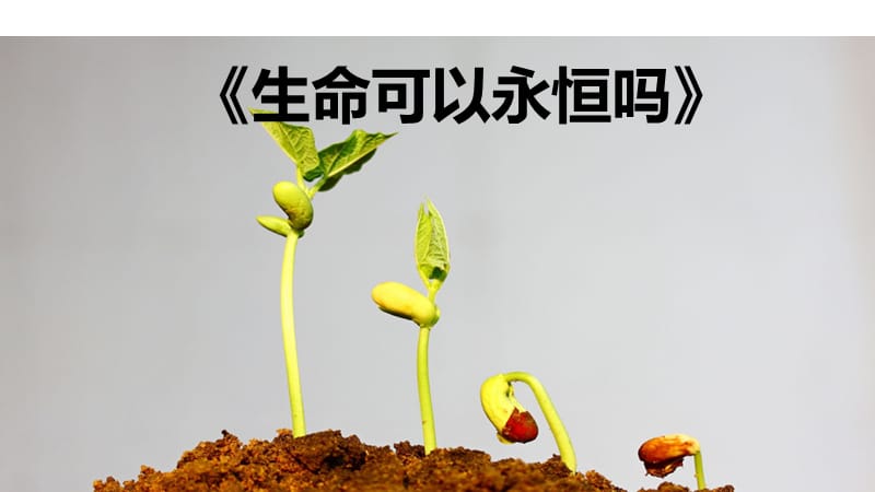 8.1生命可以永恒吗.ppt_第2页