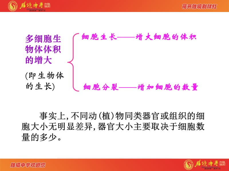 6.1细胞的增殖.ppt_第3页