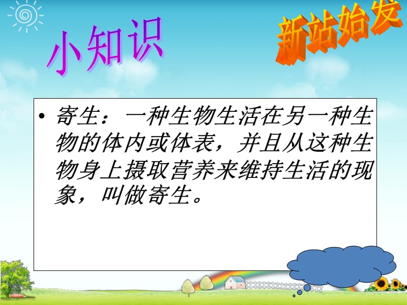 第二节__线形动物和环节动物 (2).ppt_第2页