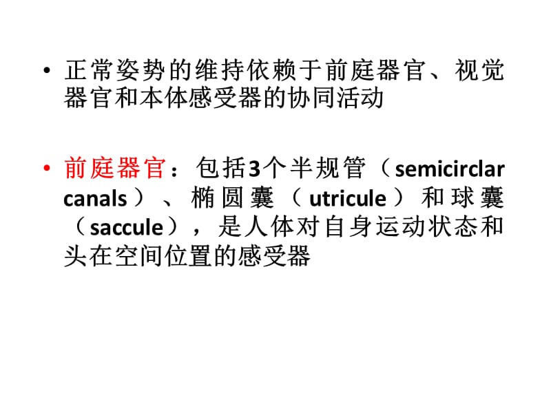 感觉器官-4ppt课件.ppt_第3页