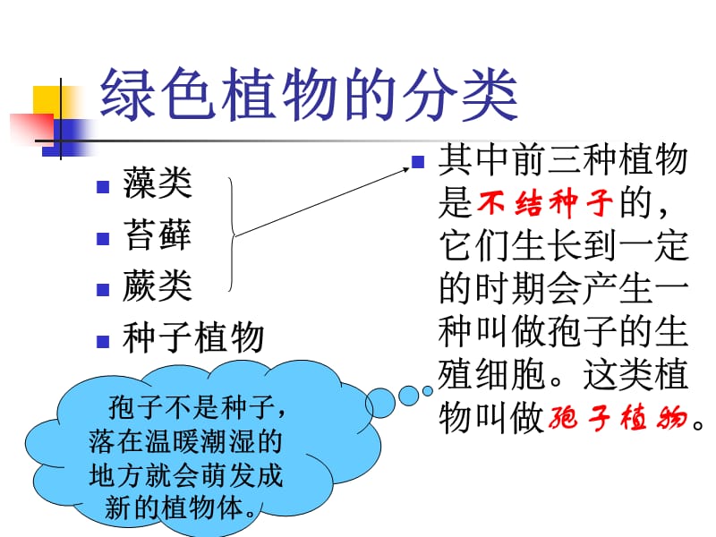 1.3.1藻类、苔藓和蕨类植物.ppt_第2页