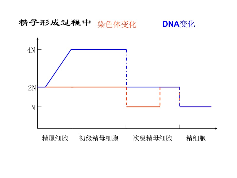 22基因在染色体上.ppt_第2页