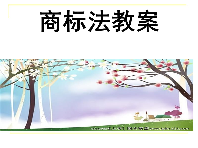 商标法电子教案.ppt_第1页