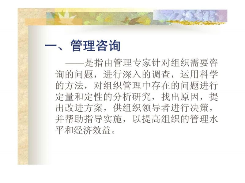 管理咨询行业介绍.ppt_第2页