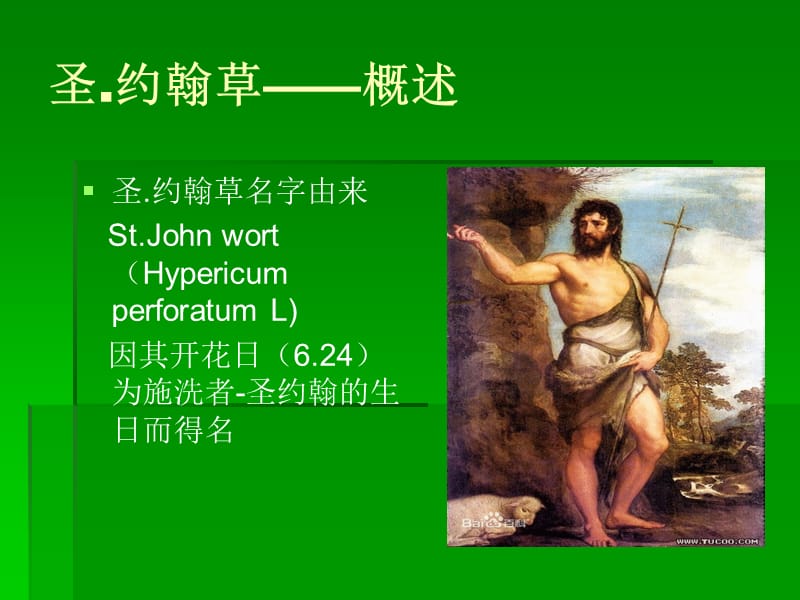 圣约翰草与抑郁症.ppt_第2页