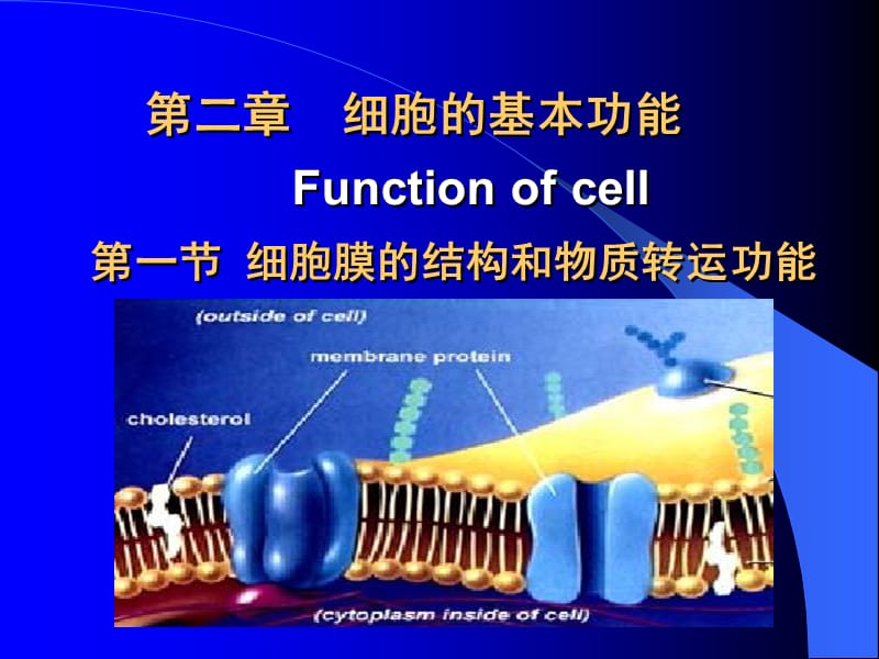 中国医科大学生理学021细胞的基本功能.ppt_第1页