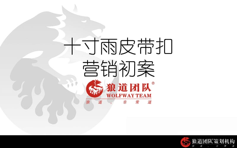 十寸雨皮带扣营销初案.ppt_第1页