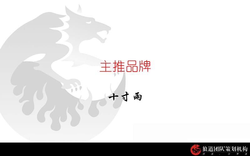 十寸雨皮带扣营销初案.ppt_第2页