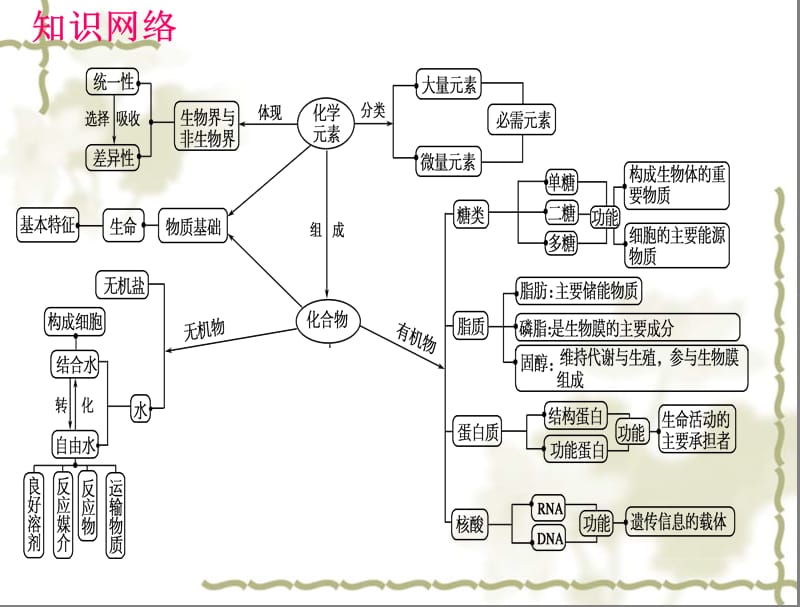 专题一细胞的分子组成复习课件.ppt_第2页