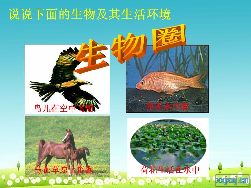 1.1形形色色的生物教学.ppt_第3页