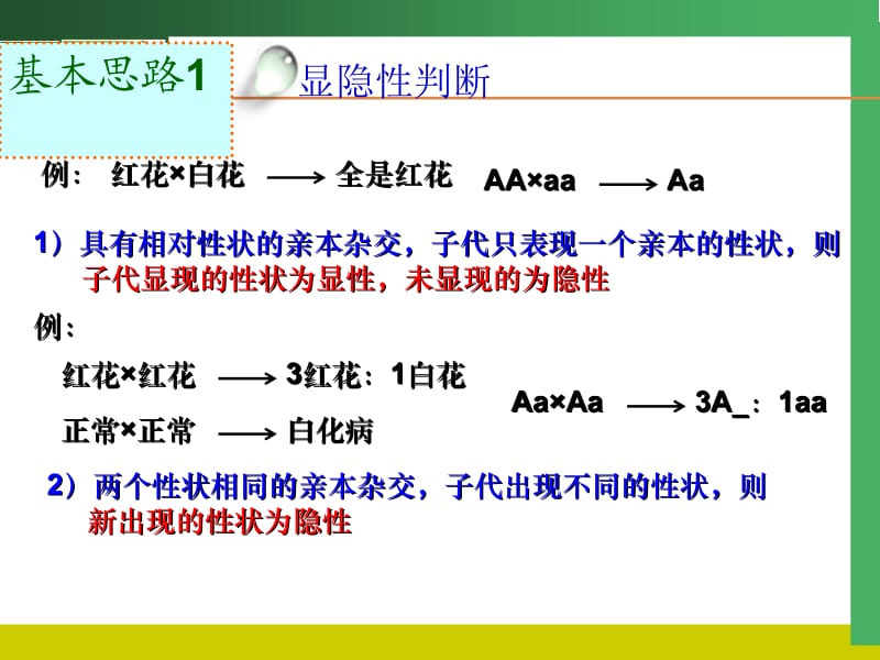 基因分离定律的解题方法.ppt_第2页