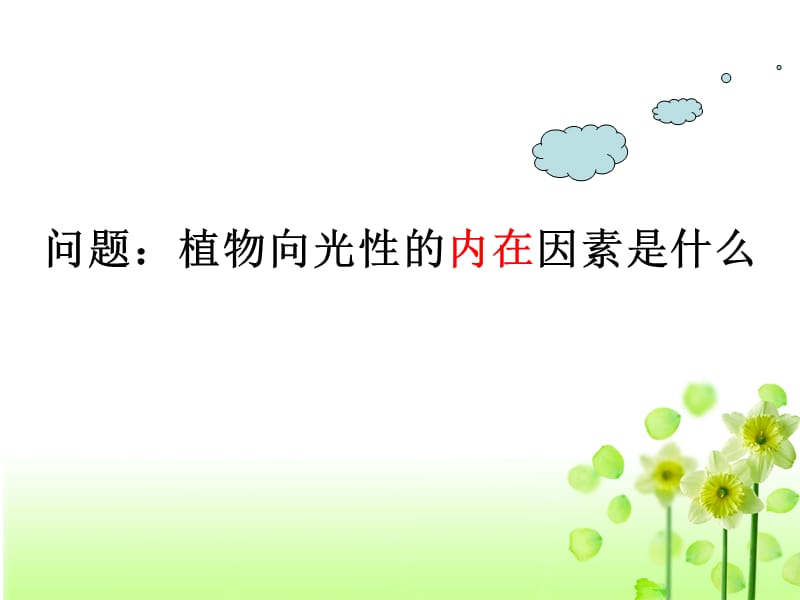 生长素的发现.ppt_第3页