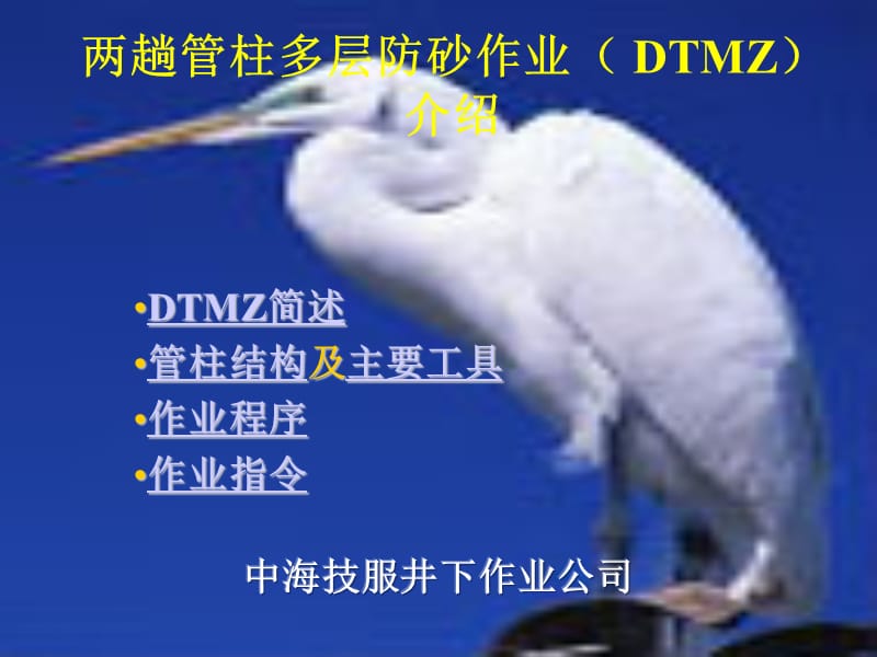 两趟管柱多层防砂作业.ppt_第1页