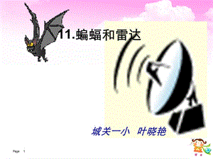 11.蝙蝠和雷达课件 (2).ppt