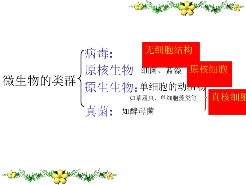 微生物的实验室培养2014上课.ppt_第2页