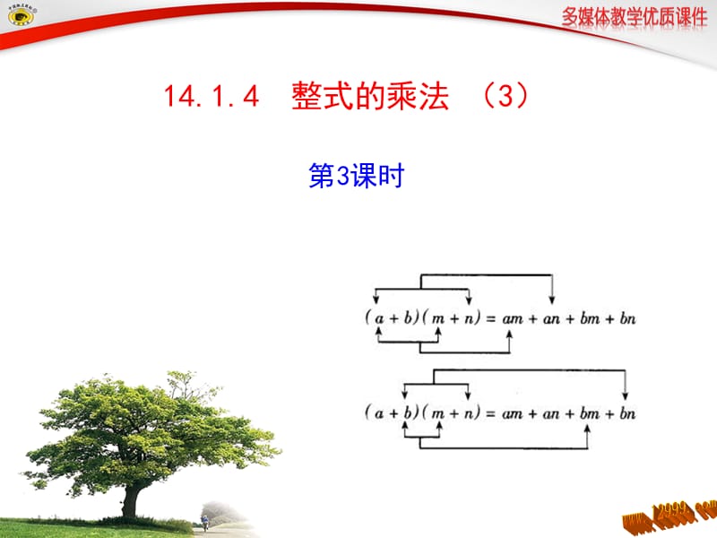 14.1.4整式的乘法第3课时课件.ppt_第1页