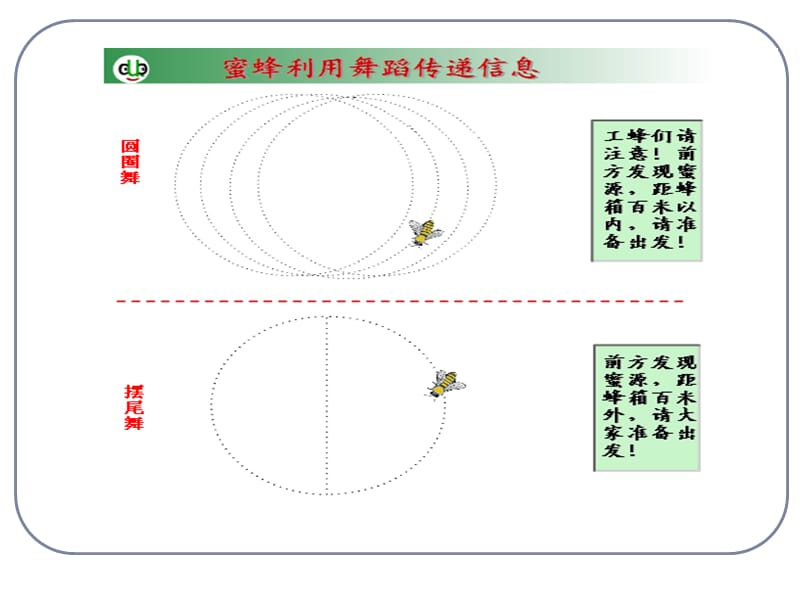 5.4《生态系统的信息传递》课件欧素枝.ppt_第3页