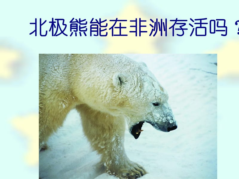 1-2生物与环境的关系.ppt_第3页