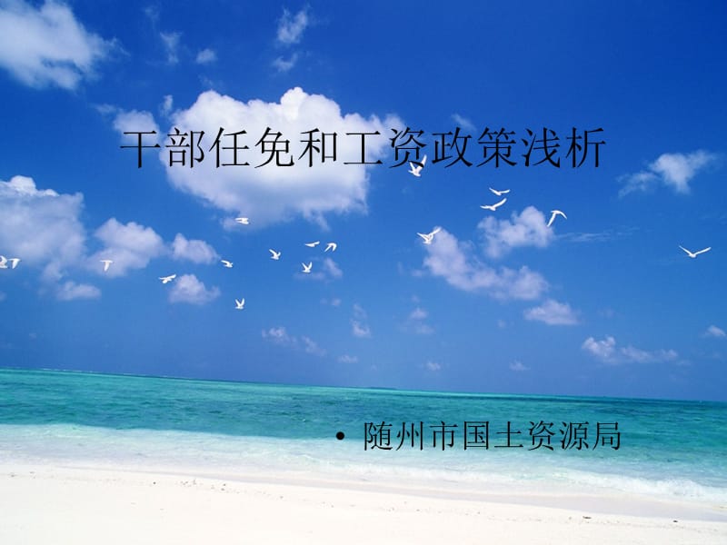 干部任免和工资政策浅析.ppt_第1页