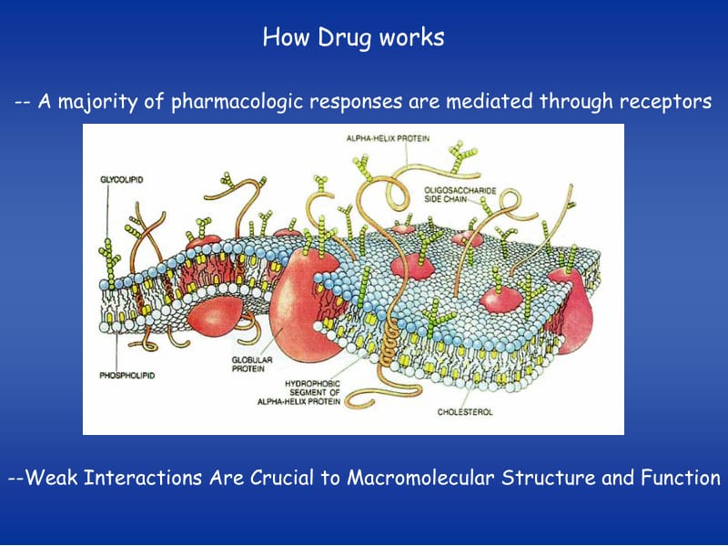 5-分子间和分子内的相互作用力.ppt_第2页