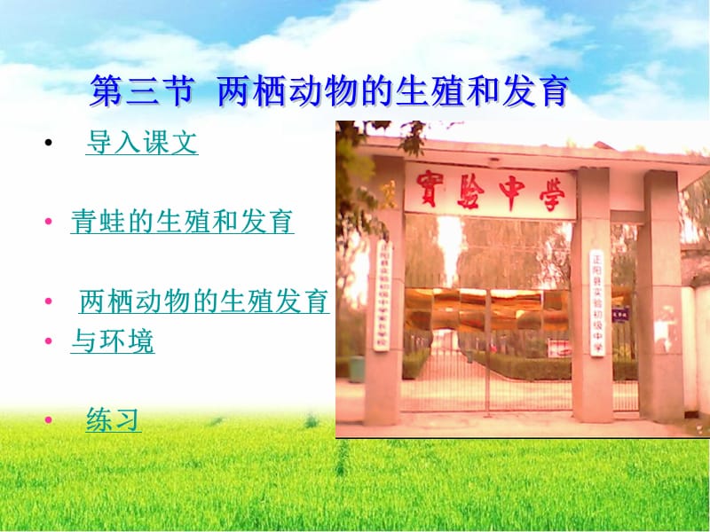 第三节两栖动物的生殖和发育.ppt_第1页