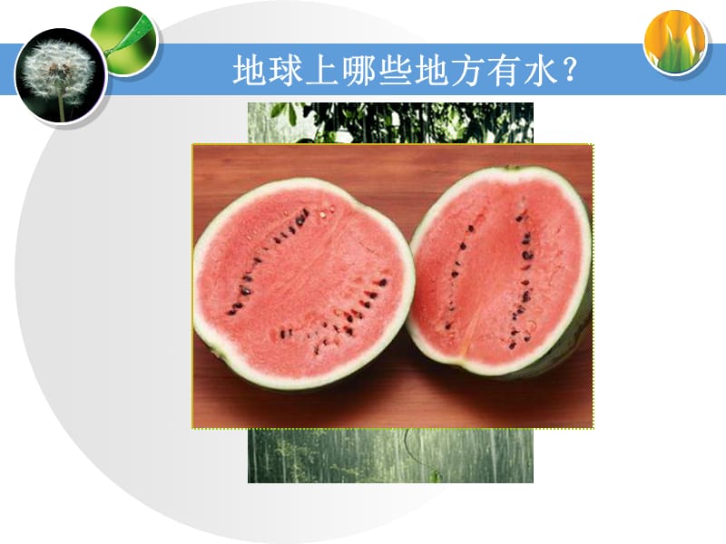 5地球上的水_教学课件.ppt_第3页