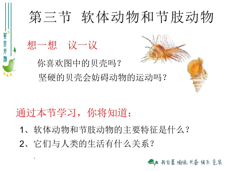 付海容513软体动物和节肢动物.ppt_第1页