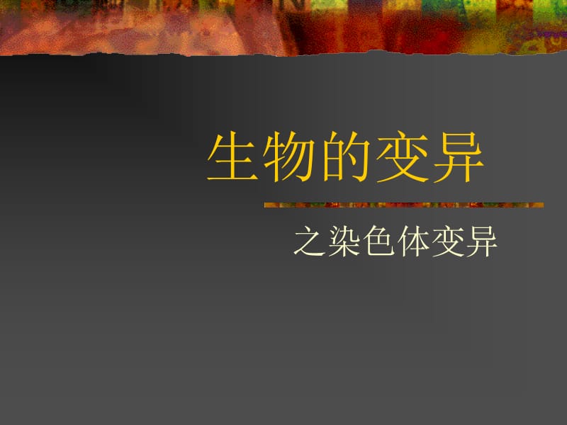 生物的变异之染色体变异.ppt_第1页