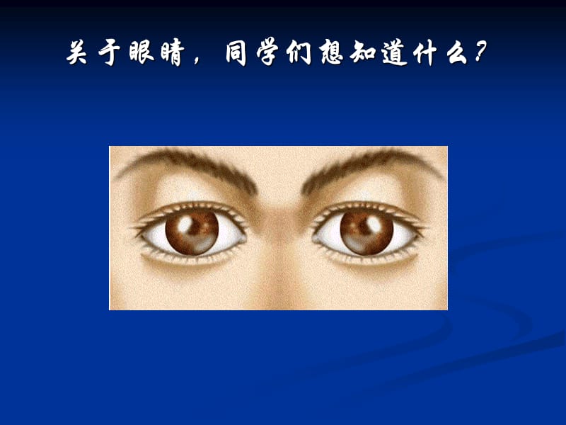 4.6【精品课件】4.6神奇的眼睛.ppt_第2页