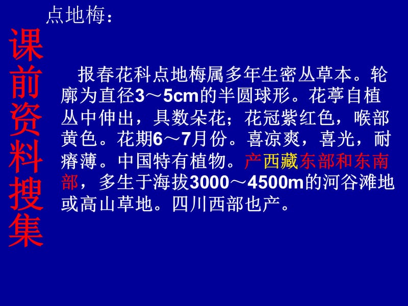 9.《烂漫的点地梅》课件.ppt_第3页