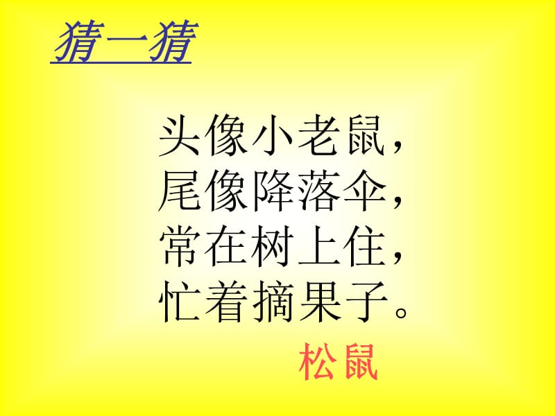 10松鼠和松果（一下）.ppt_第1页