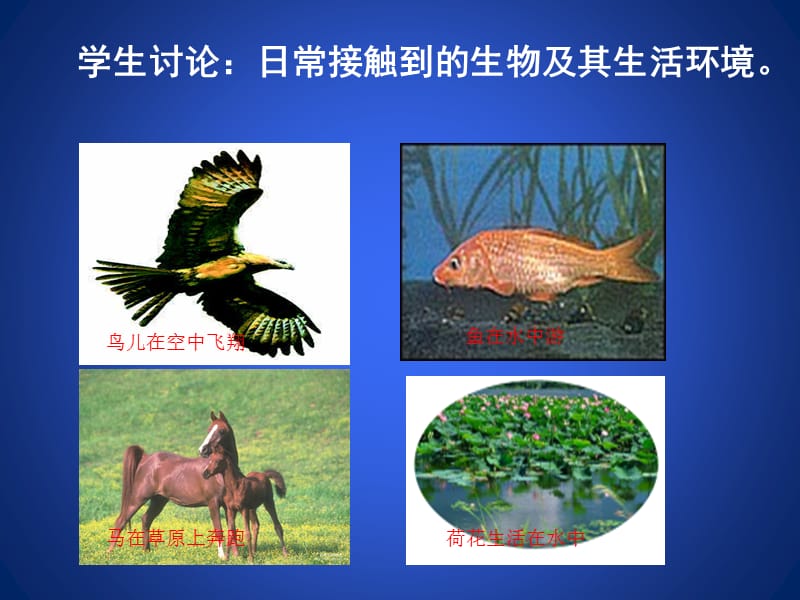 1.1形形色色的生物（课堂教学版）.ppt_第3页