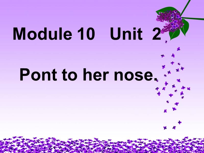 10Unit2Pointtohernose(4).ppt_第1页