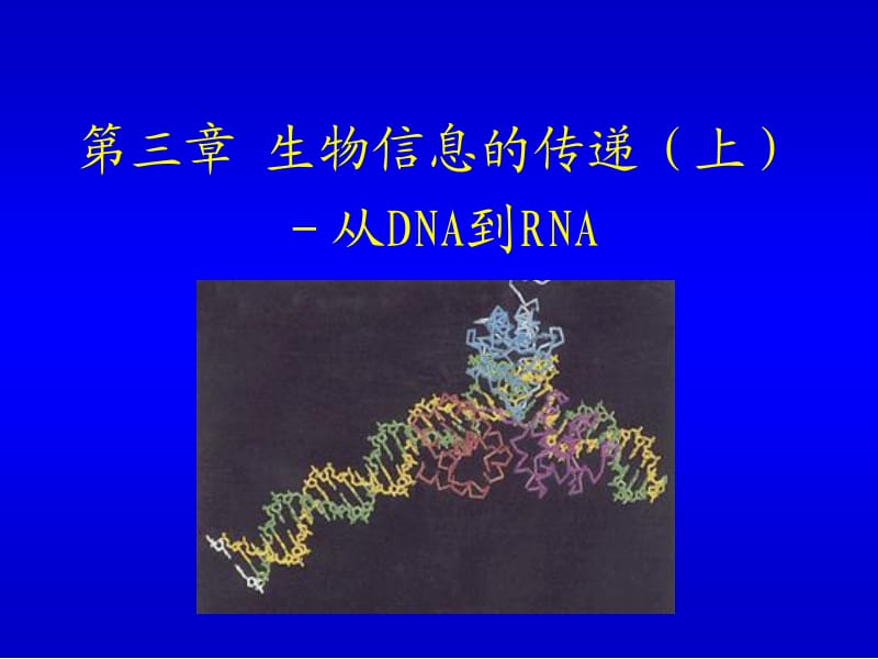 生物化学生物信息的传递上从DNA到RNA.ppt_第1页