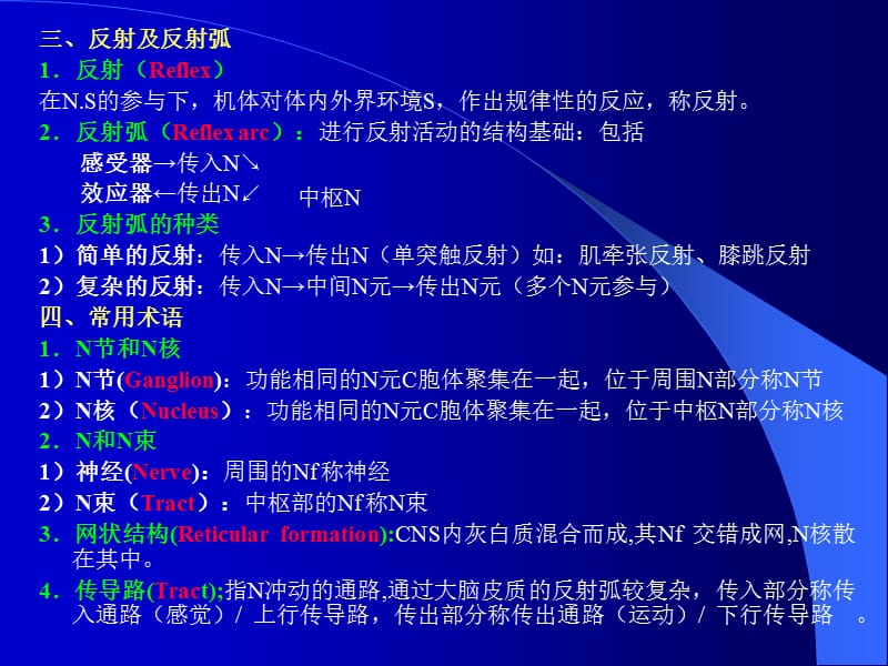 十一章神经系统NervousSystem.ppt_第3页