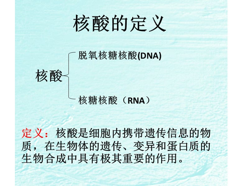 第三节遗传信息的携带者——核酸.ppt_第2页