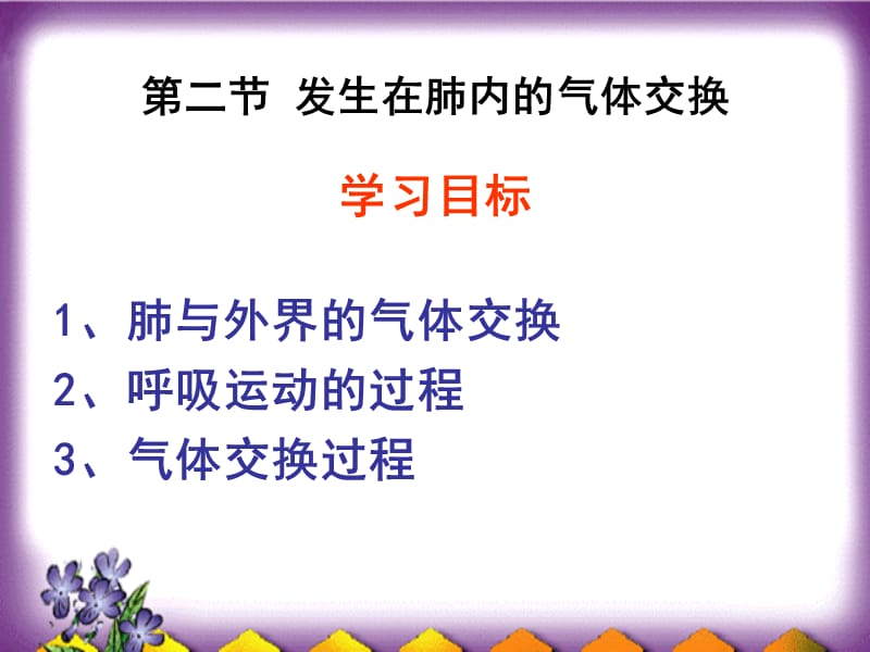 第二节_发生在肺内的气体交换(1).ppt_第2页