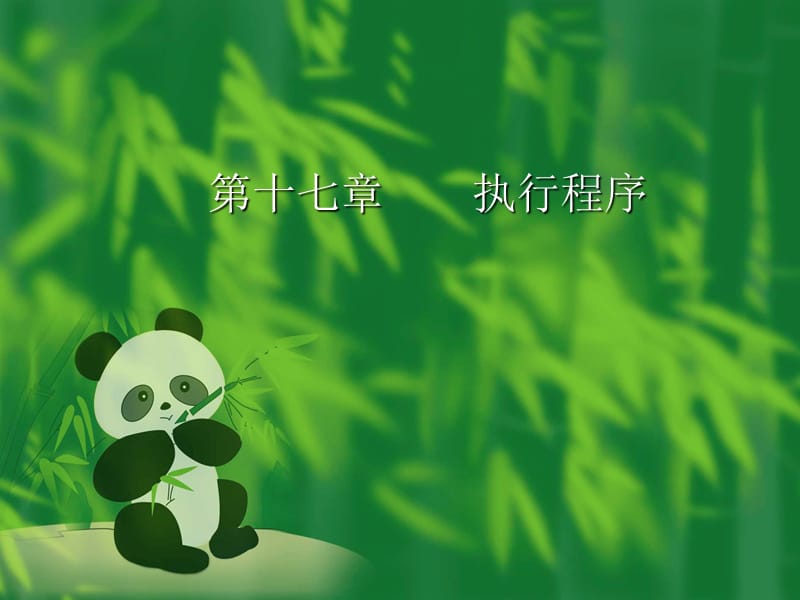 十七章节执行程序.ppt_第1页