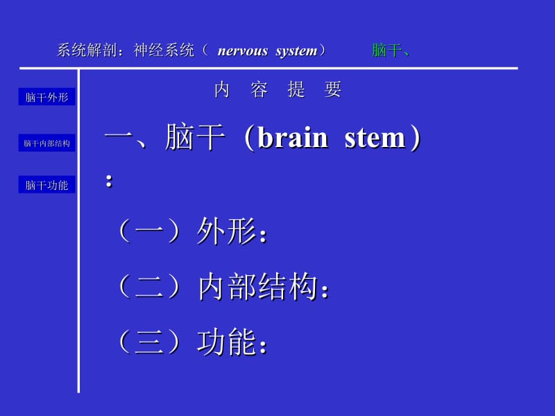 人体解剖学脑干.ppt_第2页